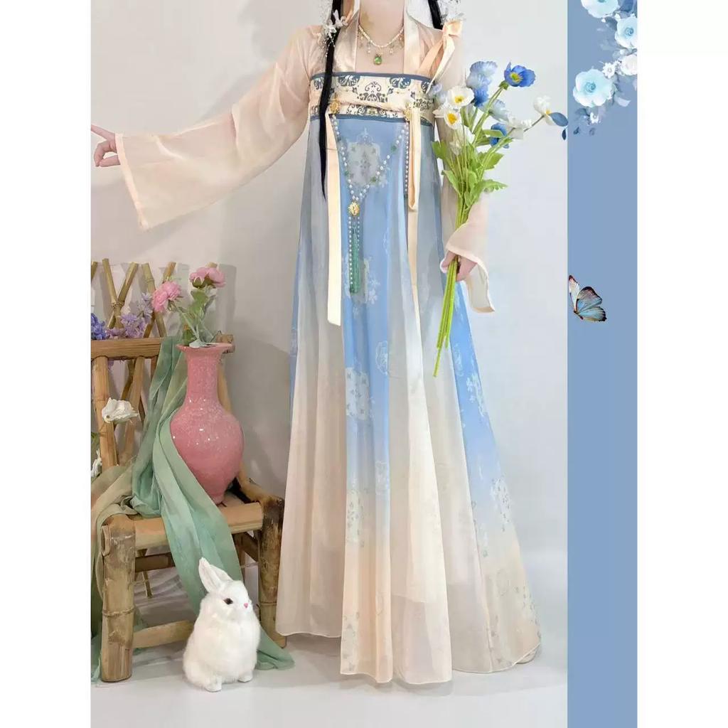 Women's Tang Dynasty Hanfu Set, Elegant High Waist Ruqun Skirt, Fairy Hanfu For Daily Spring Summer Wear