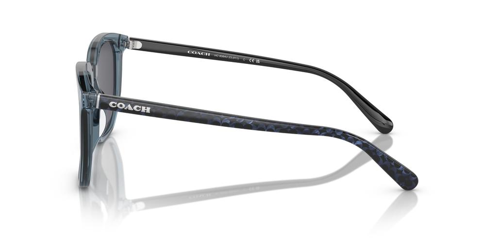Sunglasses HC8384U CL911 TRANSPARENT BLUE 55 [Coach]