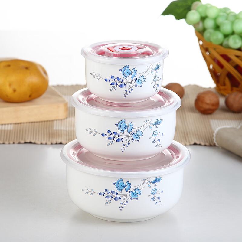 ZISIZ Ceramic Microwaveable Food Storage Bowl 3-Piece Set