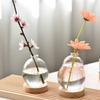 Transparent/Pink Creative Bubble Glass Vase With Wood Base Desktop Decorating Flowerpot  Home