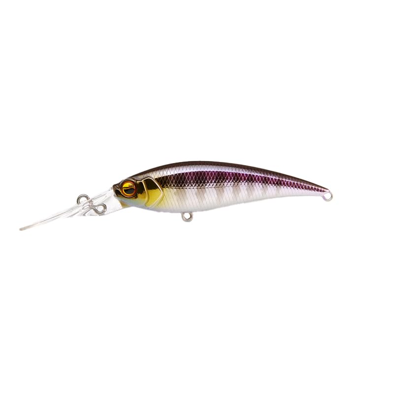 

Raid Japan (Raid Japan) LEVEL SHAD Sprinter 68MR (Level Shad sprinter mid runner) 005. Young Gil (LSSM005-CHI-GILL)