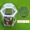 Reptilien Zuchtbox Acryl Mini Vogelspinnen Gehege Volle Transparenz Spinnen Terrarium für Spinnen Vogelspinnen Schnecken Echsen Reptilien