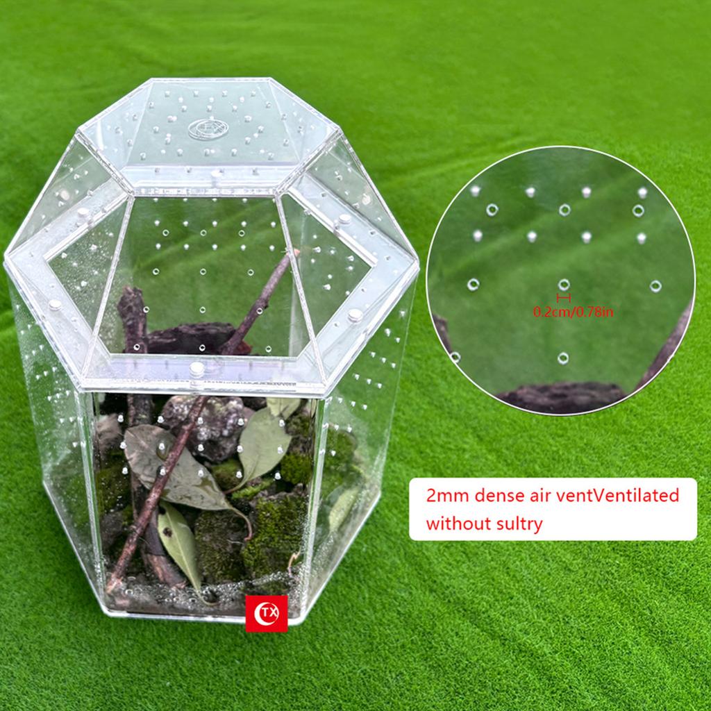 Reptilien Zuchtbox Acryl Mini Vogelspinnen Gehege Volle Transparenz Spinnen Terrarium für Spinnen Vogelspinnen Schnecken Echsen Reptilien