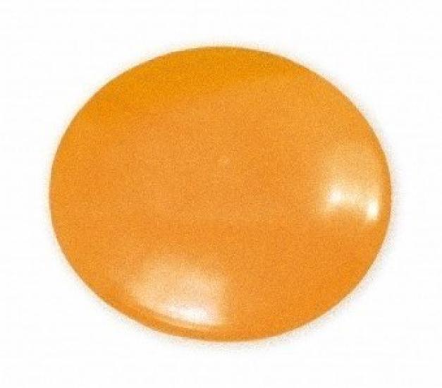 

Pylon dish L diameter 10 pieces Orange 28.5cm 1152U-OR
