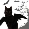 Halloween Pet Bat Wing Clothing Cute Pet Cosplay Halloween Party Bat Wing Clothing Non-woven Holiday Decoration Pet Clothing