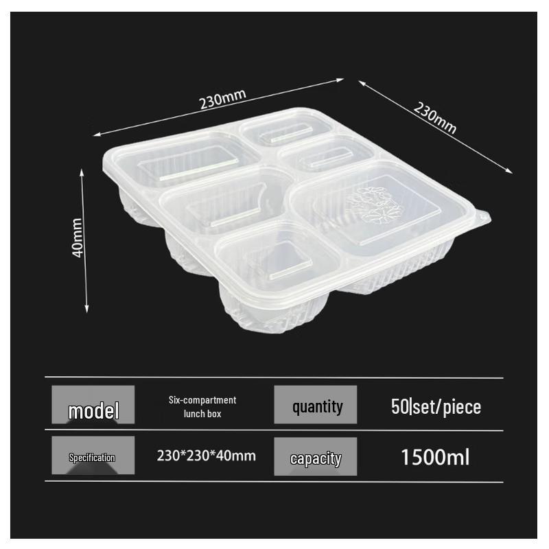 Divided Takeaway Food Container
