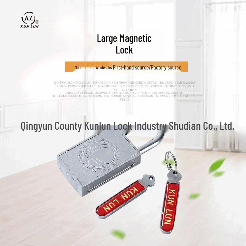 

40mm Magnetic Electromagnetic Combination Lock for Electric Meter Box Universal with 10% Keys