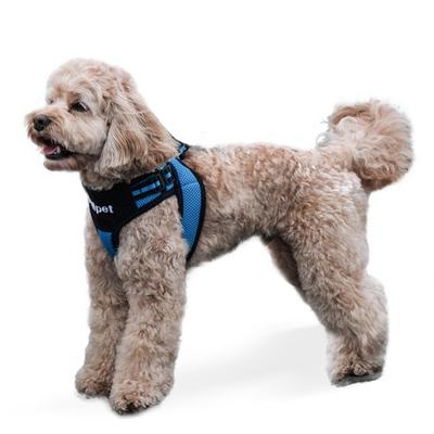 Real Pet Sporty Vest Harness, BLUE