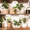 Full Spectrum Ceiling Grow Light 4 Dimmable Levels Halo Grow Lamp Height Adjustable Under Cabinet Plant Lamp for Indoor Plants
