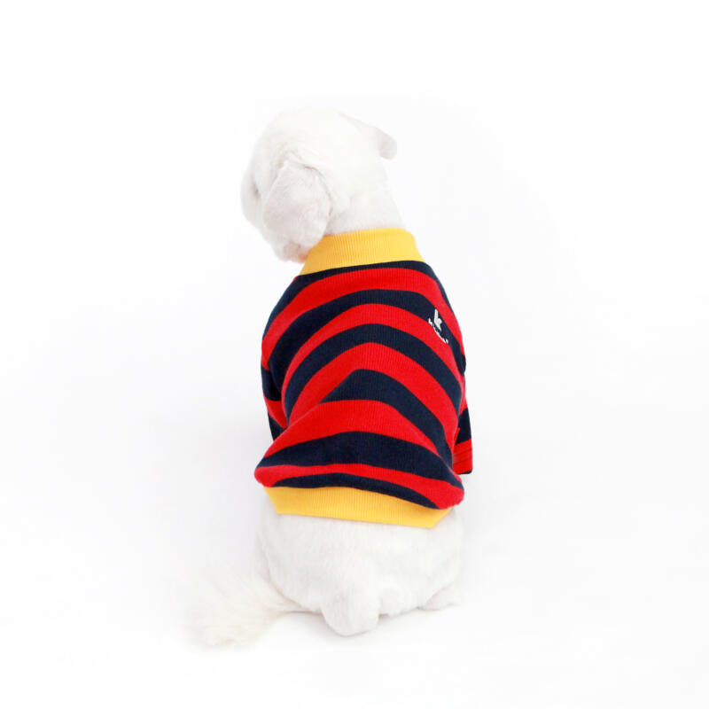 STRIPE NECK BUTTON TSHIRT-RED(Short Sleeve T-Shirt)