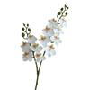 Artificial Moth Orchids 2 Fork Realistic Fake Silk Flower Wedding Party Home Office Table Centerpiece Faux Phalaenopsis Floral Branch Decoration