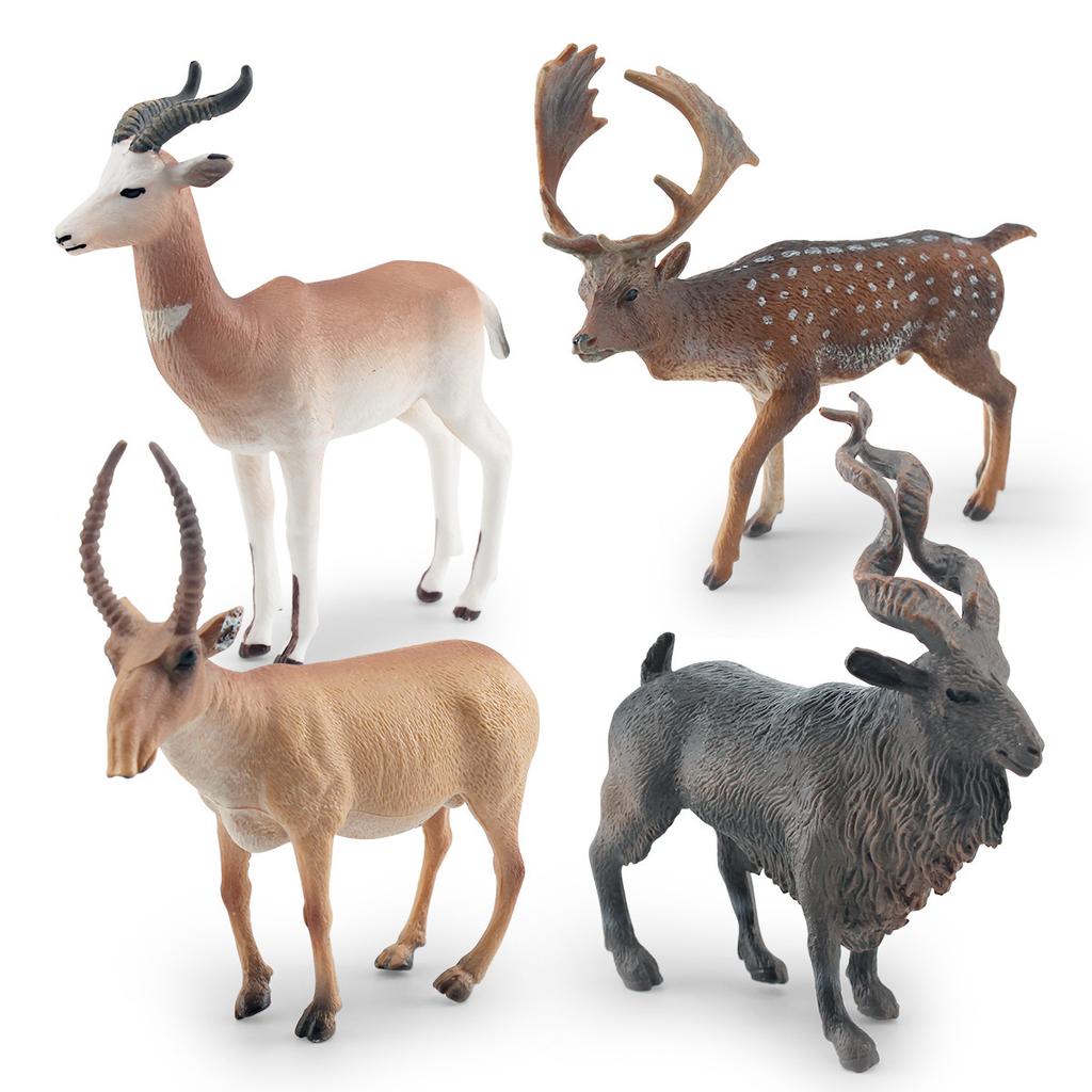 Faux Animal Exquisite Models With Impressive Detail Perfect For Display And Collection