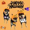 Halloween Pet Costume Set Cute Pumpkin Ghost Style Cat Dog Pet Clothing Hat With Pet Bib Scarf  Pet Accessories Festival Gift
