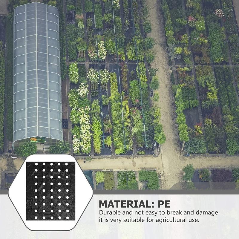 5~30M 5-Holes Black Plastic Mulch Film Perforated Greenhouse Vegetables Plant Keep Warm Film Agricultural Seedling Moisture Film