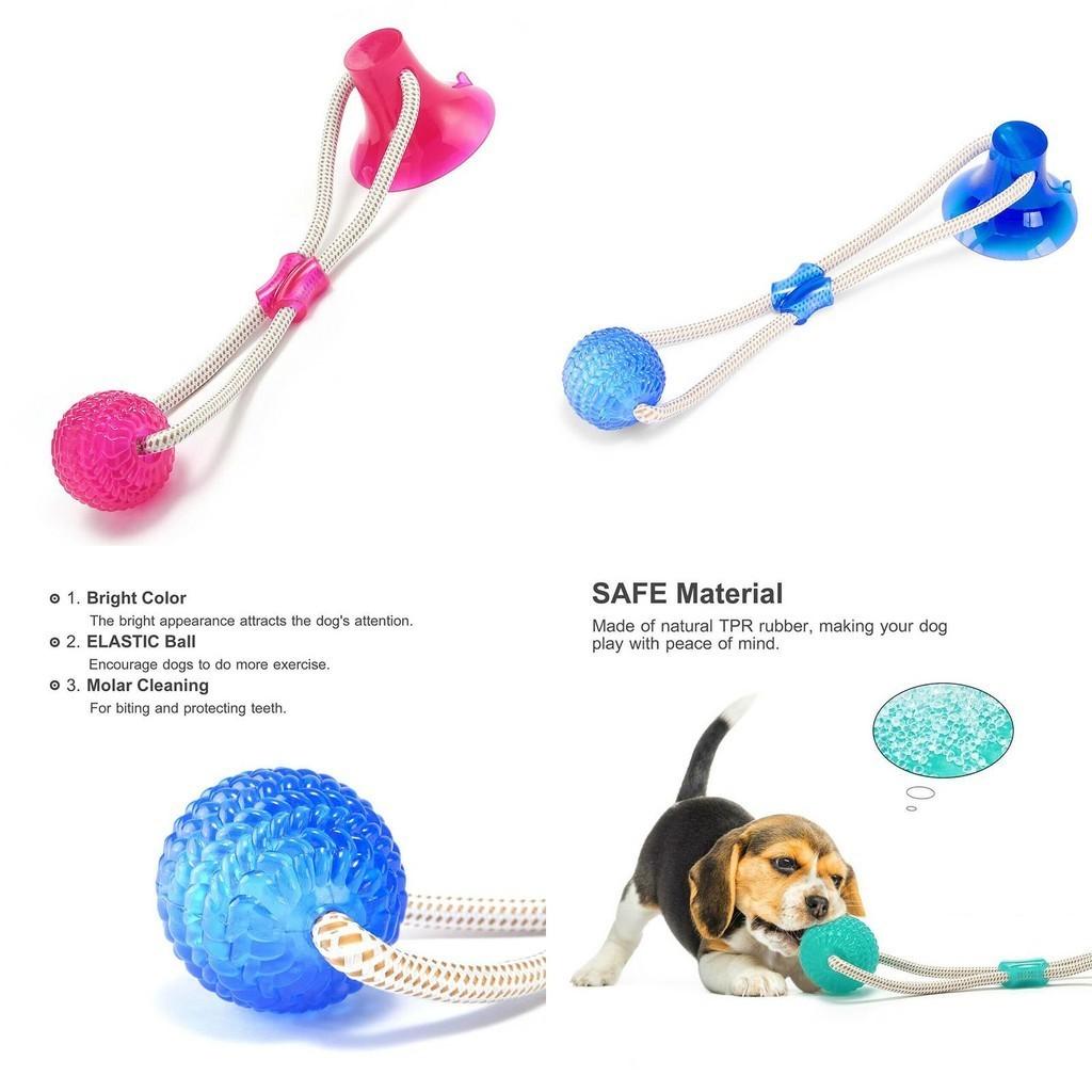 High Quality Pet Molar Bite Toy Designed For Safe Chewing And Dental Care