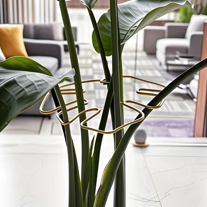 Plant Stem Support Durable Monstera Stabilizer Metal Climbing Plant Trainer Decorative Garden Ideal Plant Support for Growth