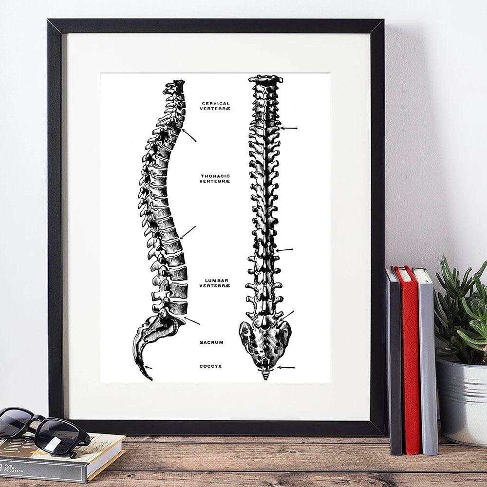 Ανθρώπινη Ανατομία Τέχνη Καμβάς Ζωγραφική Εκτυπώσεις Όργανο Σκελετός Vintage Αφίσα Εκπαίδευση Εικόνα Για Δωμάτιο Σπίτι Κλινική Ιατρική Διακόσμηση Τοίχου