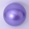 95cm Anti-Burst Yoga Exercise Ball with Air Plug
