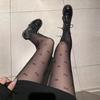 Damen Mode Durchscheinende Strumpfhosen Hohe Elastizität Schlanke Leggings Für Frühling Herbst Freizeit- & Party-Outfits