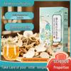 Professional Dandelion Lily Poria Tea: Independent Packaging with Real Ingredients