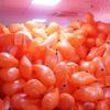 Inflatable Swimming Float Buoy With Storage Compartment Waterproof Dry Bag Adults Pool Beach Water Sports