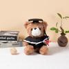 Graduation Teddy Bear In Doctor's Gown with School Emblem - Perfect for Graduation Gifts