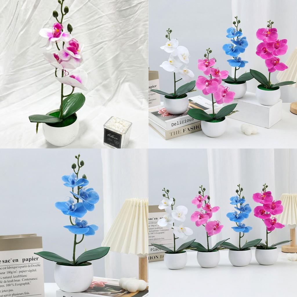 Durable Plastic Butterfly Orchid Fake Plant With Textured Finish For Celebrations And Photo Shoots