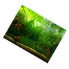 Water Grass Style Aquarium Fish Tank Background Poster PVC Adhesive Decor Paper (122*50cm)