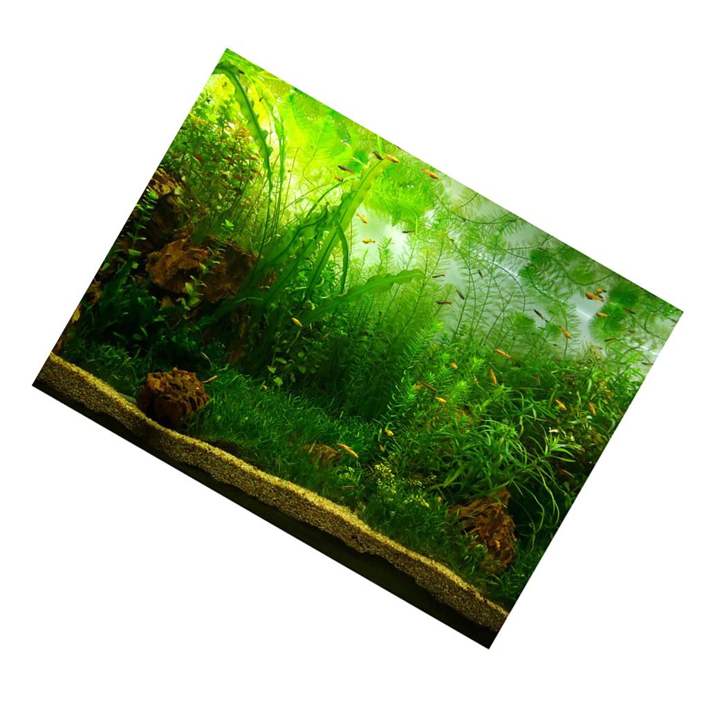 Water Grass Style Aquarium Fish Tank Background Poster PVC Adhesive Decor Paper (122*50cm)