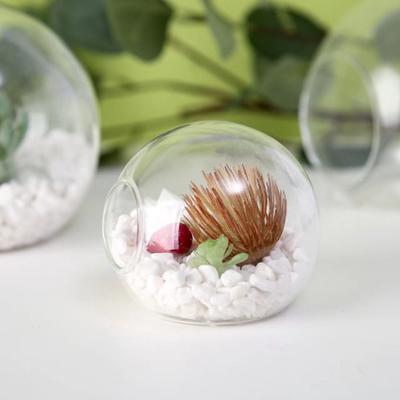 Terrariumbehälter Mikro-Landschaft Glasvase Sukkulentenpflanze Hydrokultur Pflanzenvase