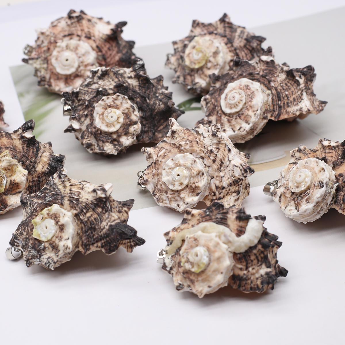 

10Pcs Black Conch Pendant Shell Necklace Pendant 20-40mm For Jewelry Making DIY Necklace Bracelet Earrings Accessory 10pcs