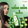 Patanjali Kesh Kanti Aloevera Oczyszczacz do Włosów 450 ml, Naturalny Odżywczy Szampon do Włosów Grubych i Mocnych, Wszystkie Rodzaje Włosów