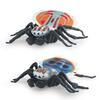 Intricately Plastic Designed Spider Models Including Dynamic Peacock And Striped Flies Available In Various Colors Ideal For Col