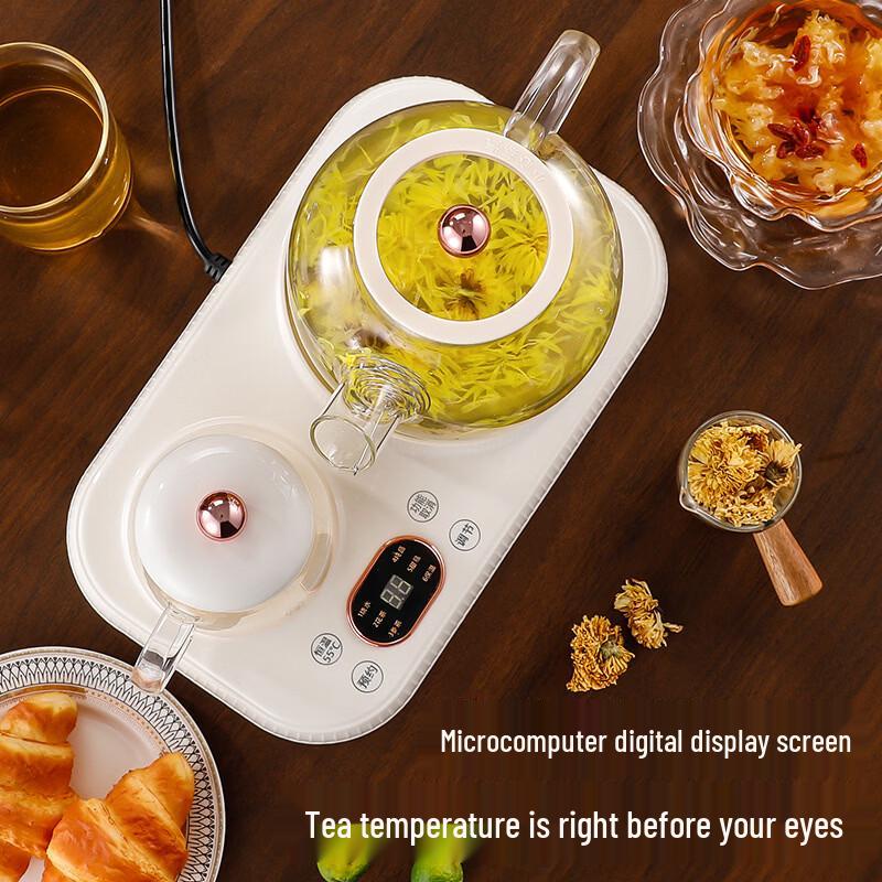 ZISIZ Multi-functional Health Pot with Glass Cup