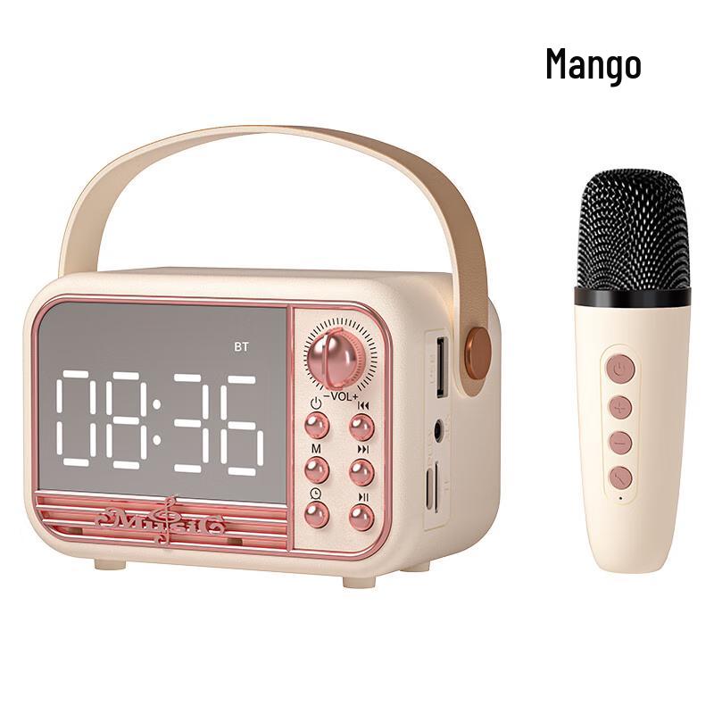 Wanwu S11K Retro HIFI Wireless Karaoke Speaker