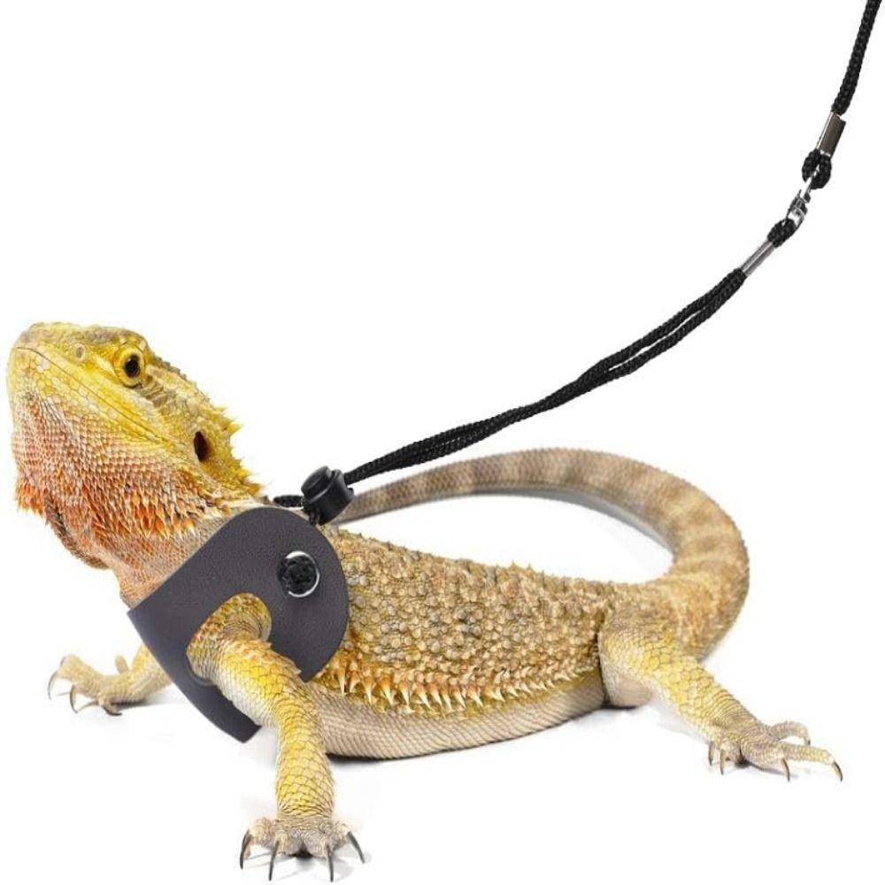 3 Pack Adjustable Bearded Dragon Leash Harness Set Escape-Proof Lizard Leash  Small Animal Pets