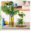 Glass Dome with Airhole Glass Cloche Bell Jar with Base Home Tabletop Display Clear Terrarium Container for Plant, Terrarium