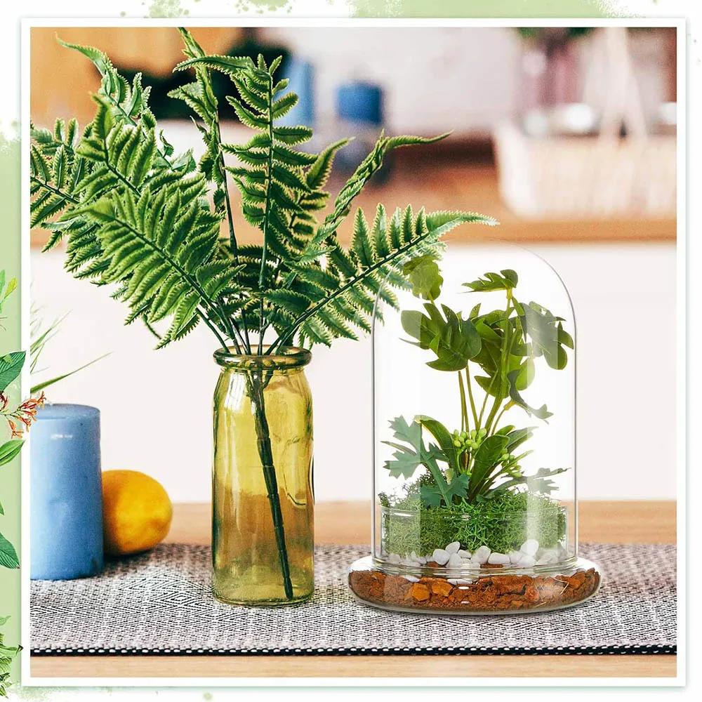 Glass Dome with Airhole Glass Cloche Bell Jar with Base Home Tabletop Display Clear Terrarium Container for Plant, Terrarium