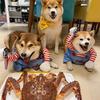 Fantasia de Halloween para Cães e Gatos Pequenos e Médios Roupas para Animais de Estimação Roupas para Gatos e Cães Suprimentos