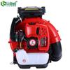 Gasoline Backpack Blower CN plug (adapter included)