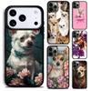 Chihuahua Dog Cute Animal Phone Case For iPhone 17 16 15 14 13 12 11 Pro Max Plus 17Air Soft Silicone Cover