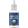 Original Dentite Tooth Armor Liquid 60ml,Tooth Protection Solution