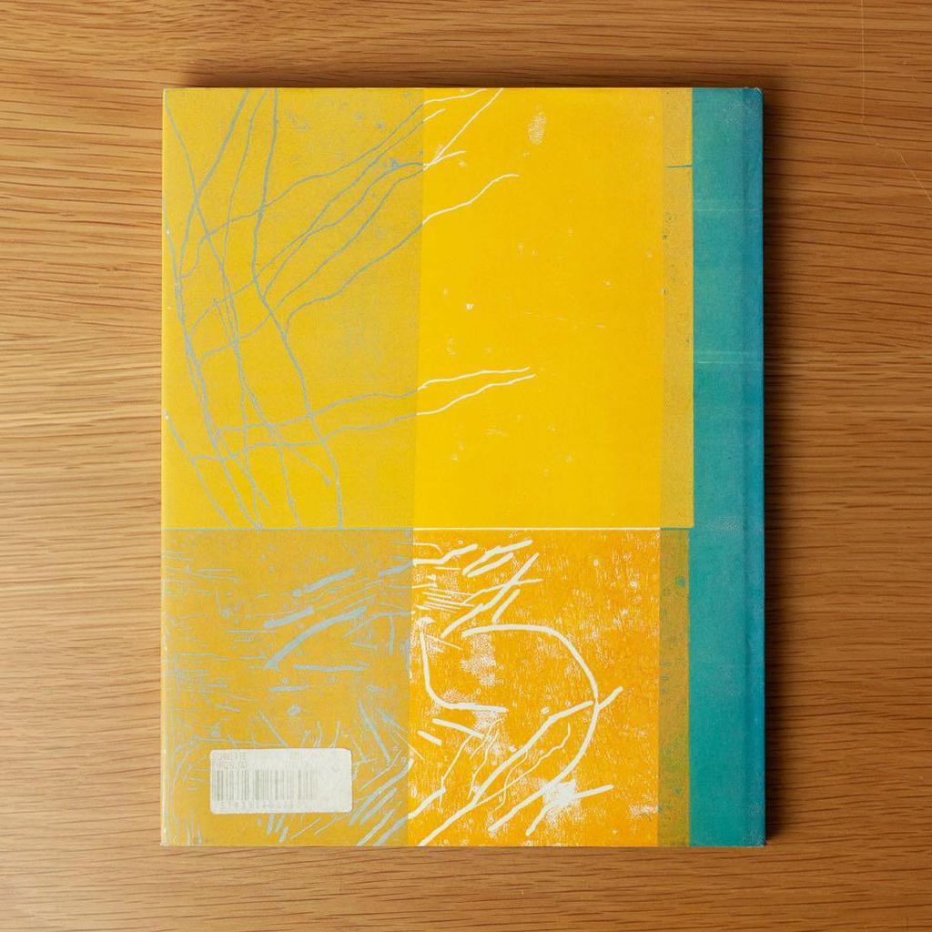 [USED] Paco Knöller: Schnitte. Artbook