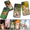 For Motorola Moto Edge 70 60 Fusion 40 NEO 20 Pro G Stylus G56 G96 G71 G73 G52 G41 G42 G51 Case Dog Pet Corgi Wallpaper
