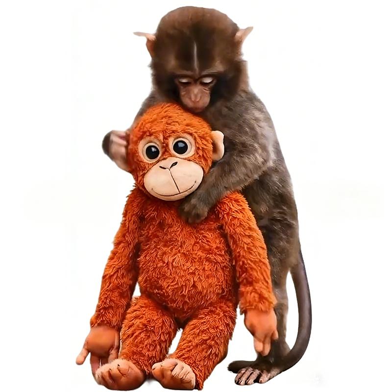 Protect Punch The Monkey Punch Monkey Doll Keychain Cute 3D Monkey Decor Hanging Keychain Anime Peripherals Toy Birthday Gift one size