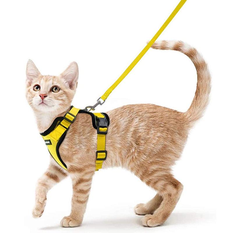 

Сетчатая шлейка и поводок для маленьких кошек, регулируемый жилет, защита от побега для домашних котят, легкое управление, светоотражающая шлейка для собак XS