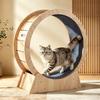 Large Cat Treadmill Roller: Multi-layer Pet Exercise & Fitness Wheel