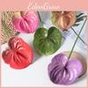 Anthurium Linden Andraeanum Flower For Home Decor And Photography Props