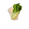 Transparent Slanted Resin Serving Bowl