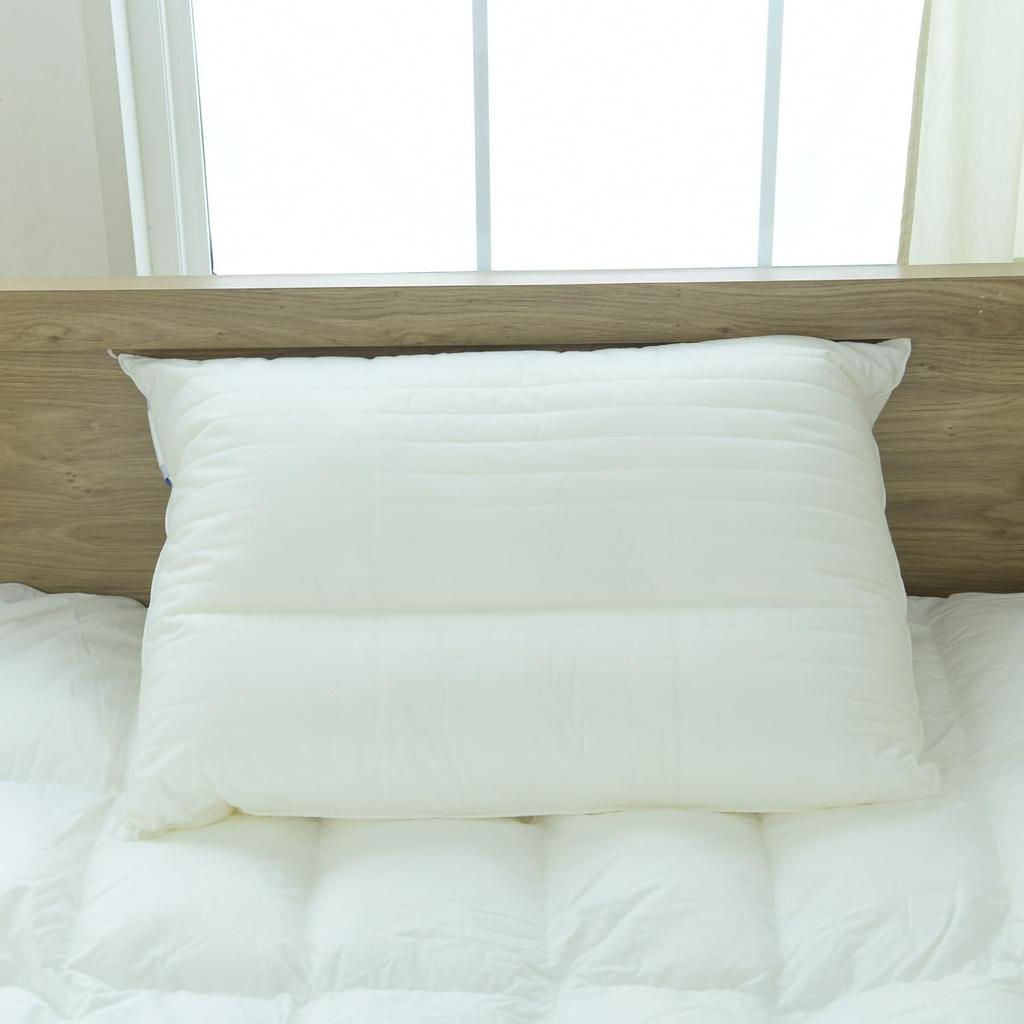 Danfill Pillow Pillow 45 X 65cm White Washable Allergy Prevention Neck Pillow Light JPA110